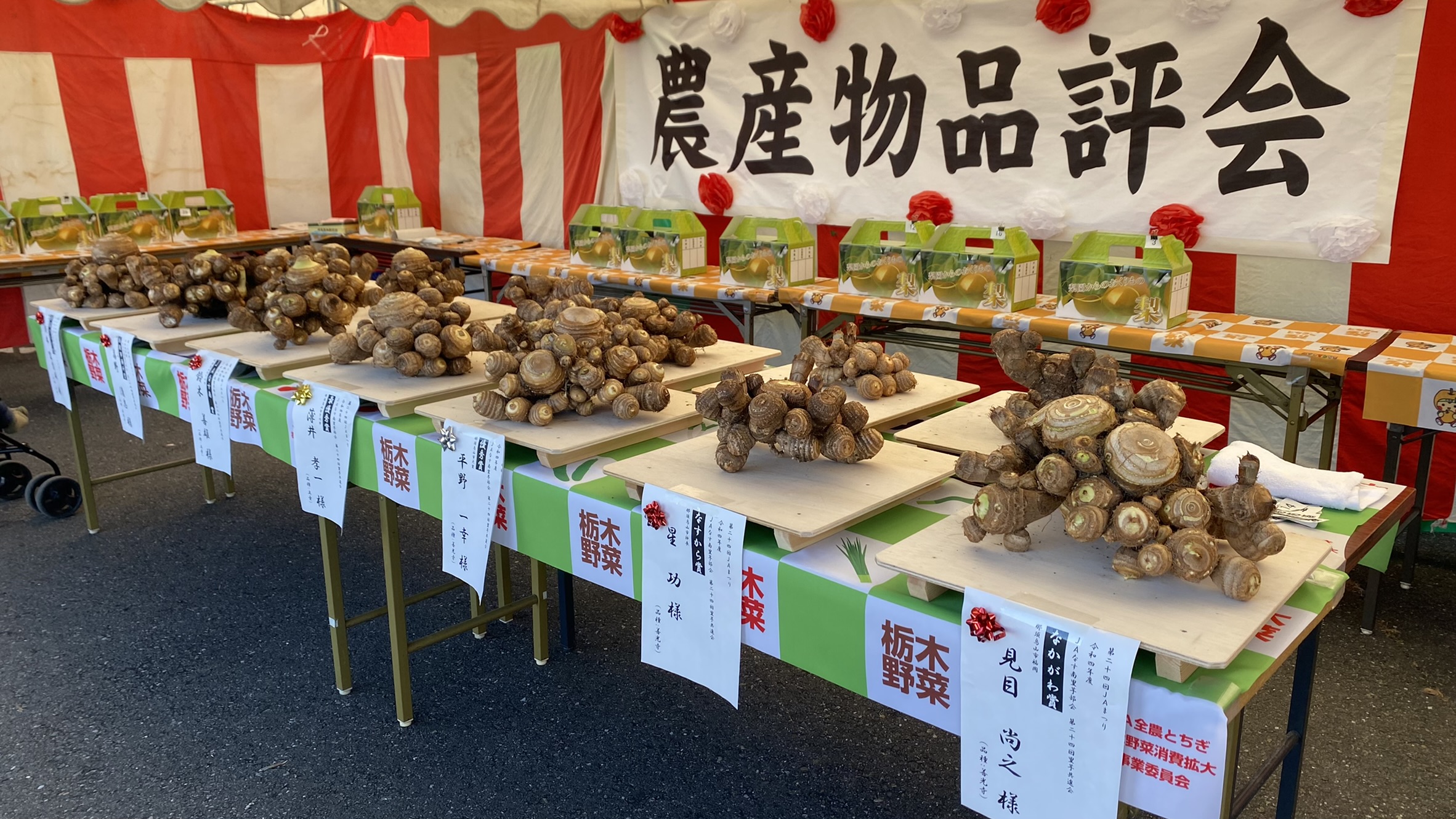 里芋 善光寺