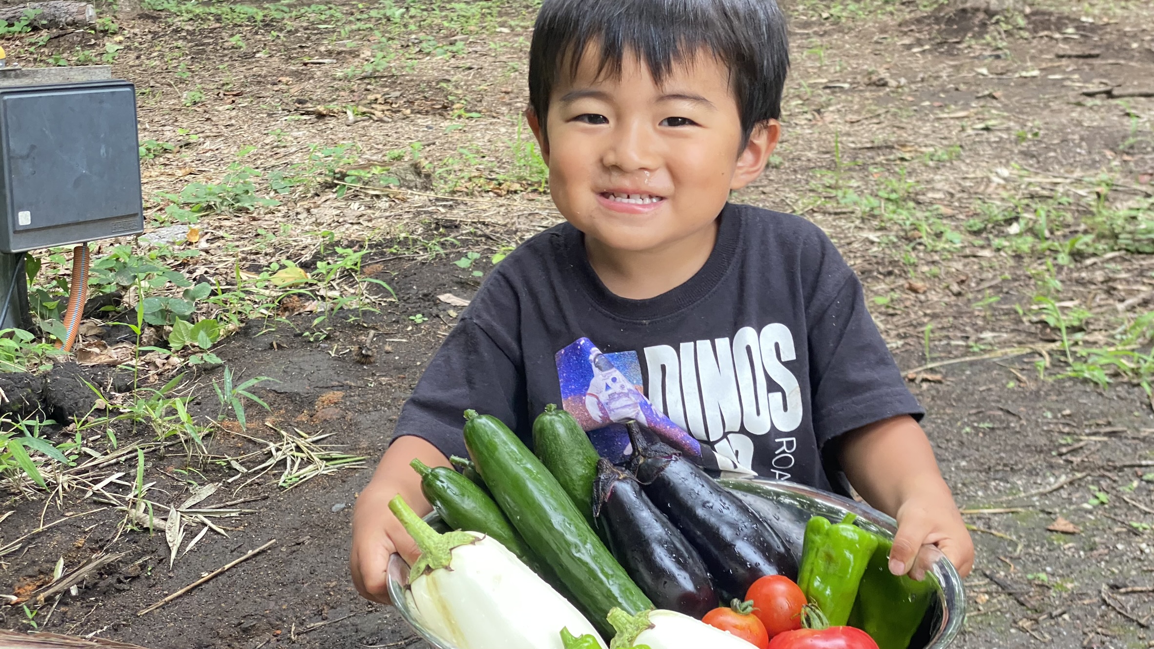 その他野菜