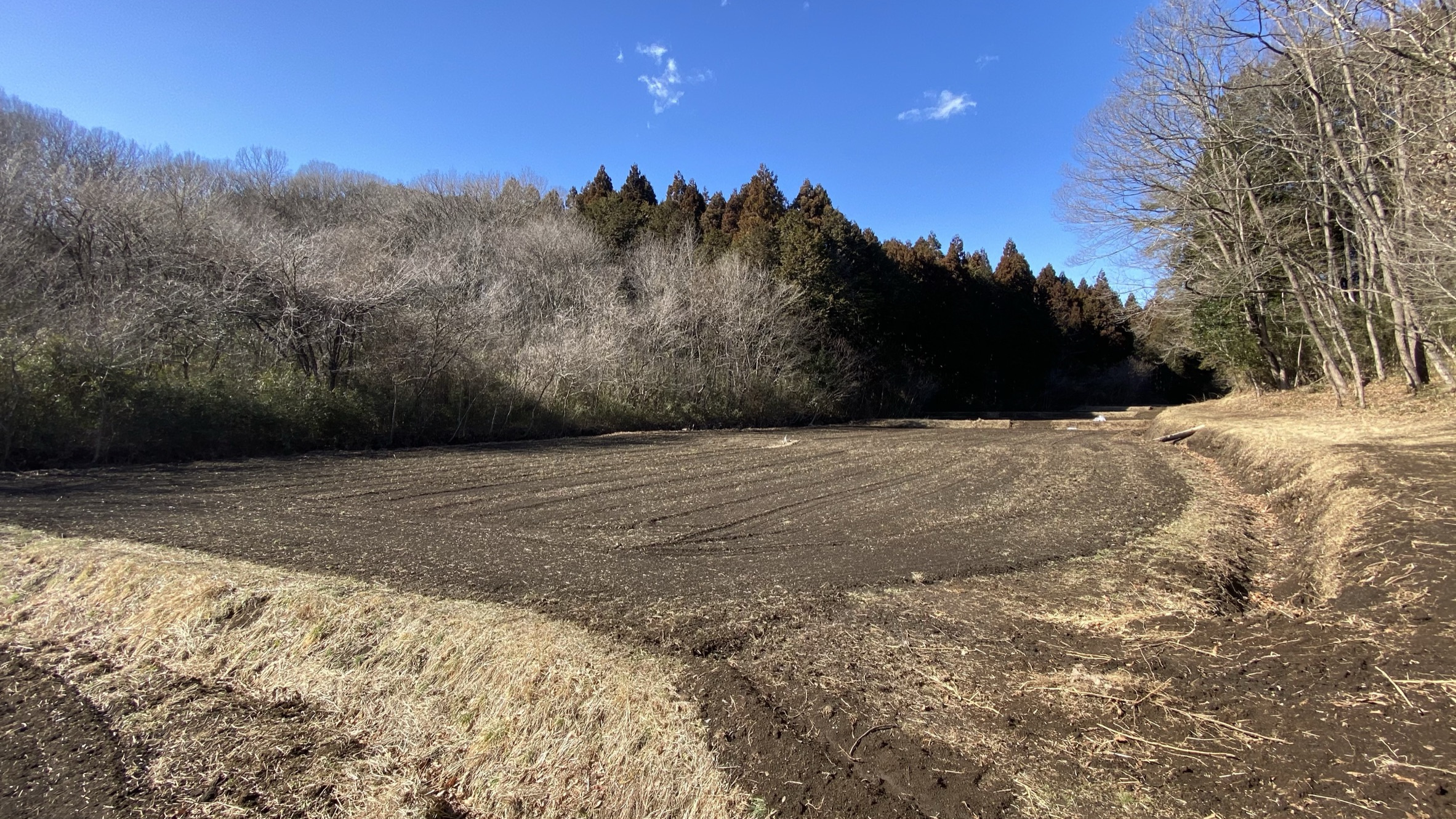 谷津田の田んぼ全景