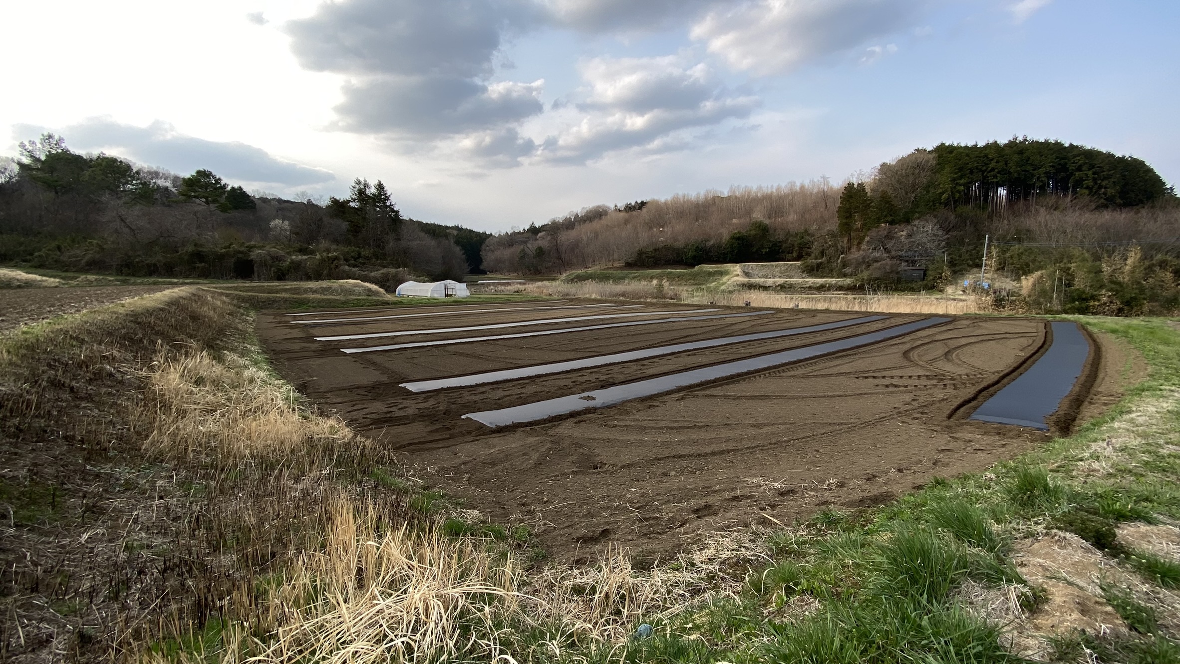 谷津田の農場風景